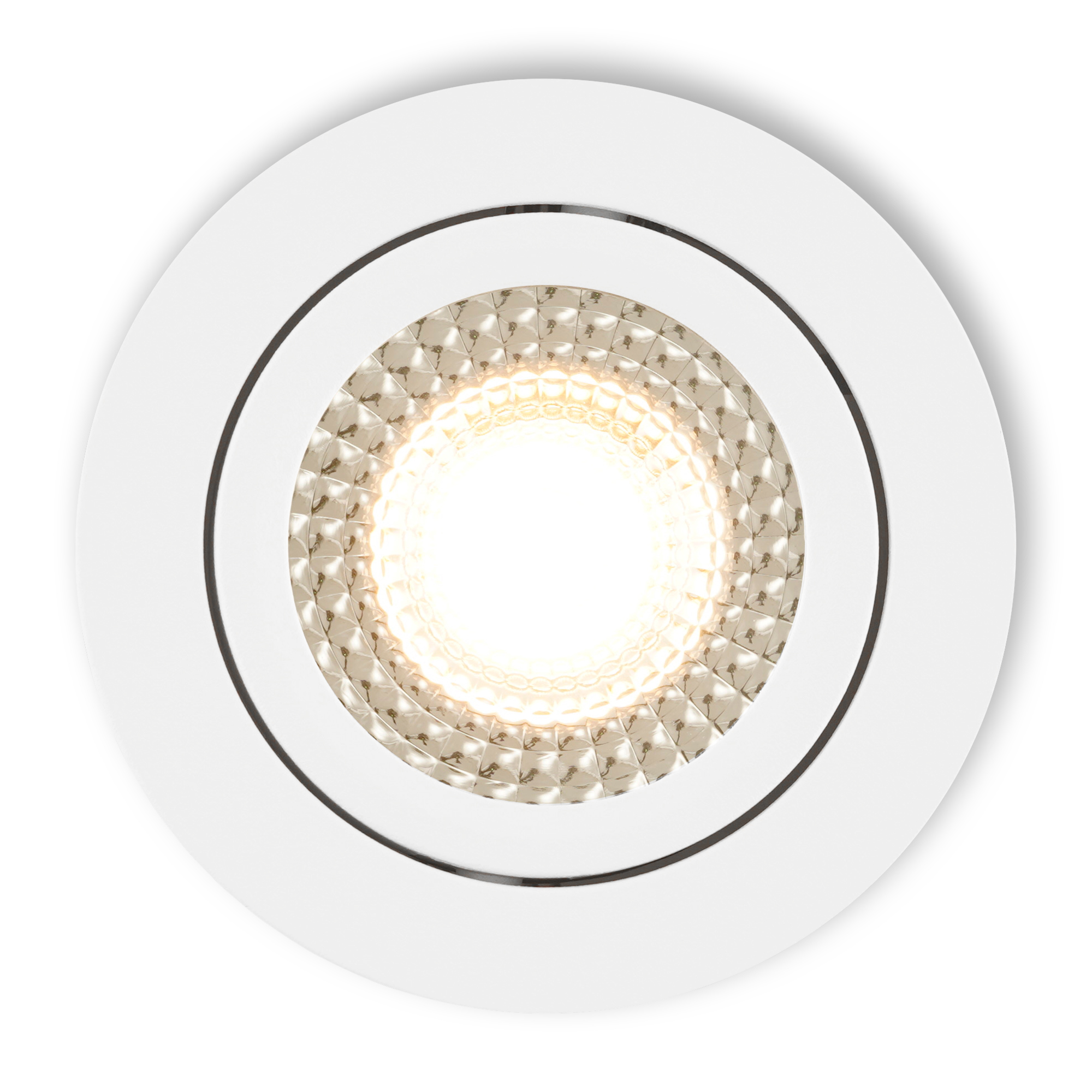 Vivaro_wit_i_top_lighton_25.jpg Vivaro_wit_i_top_lighton_25.jpg