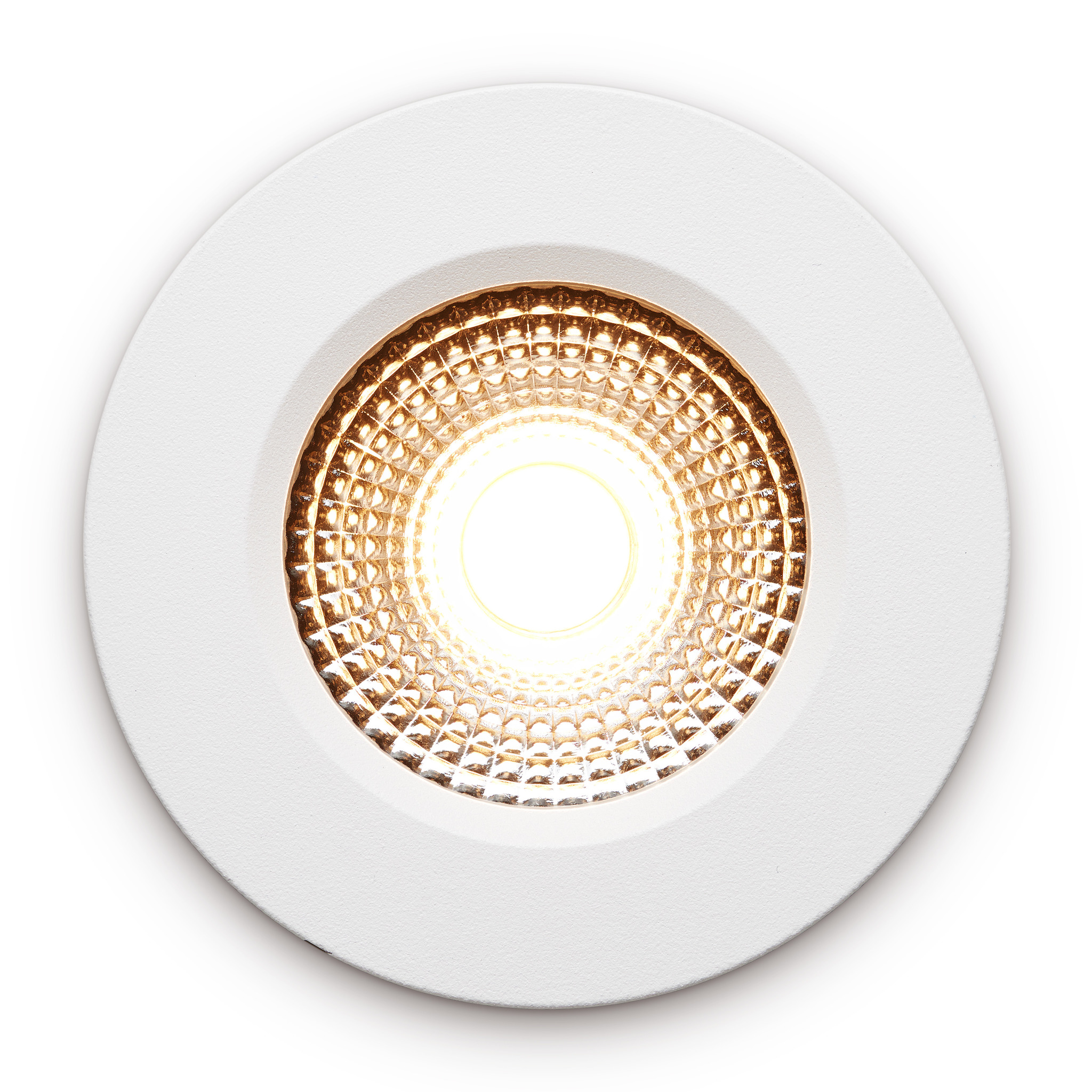 udis-white-straight-on.jpg